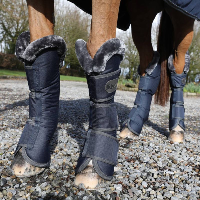Protections de transport cheval Show Line Bucas lot de 4 marine gris