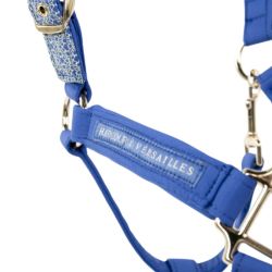 Licol cheval Maximum et longe Versailles Harcour marine