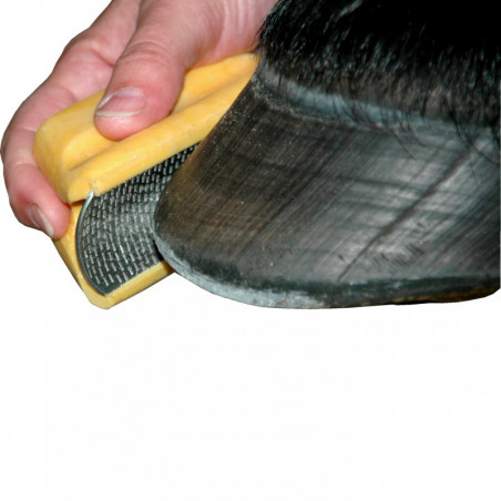 Râpe à Sabot de 8 Pouces, Lime en Fer à Cheval en Acier au Râpe à Sabot de 8 Pouces, Lime en Fer à Cheval en Acier au