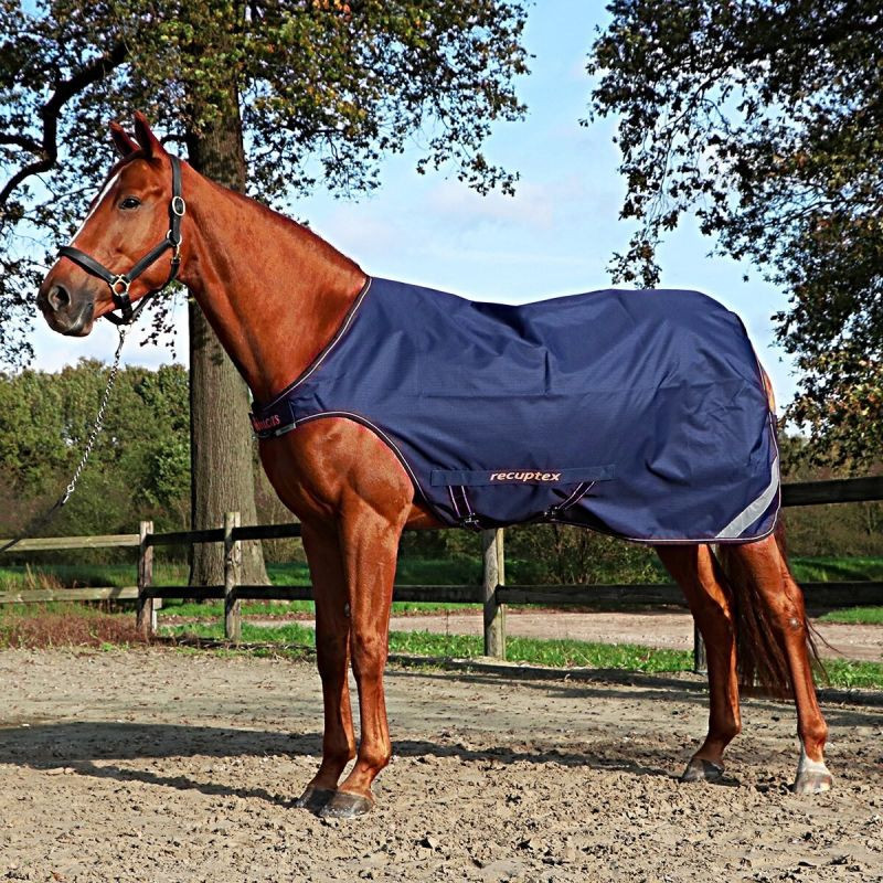 Couverture marcheur cheval - Walker Rug Therapy - Bucas