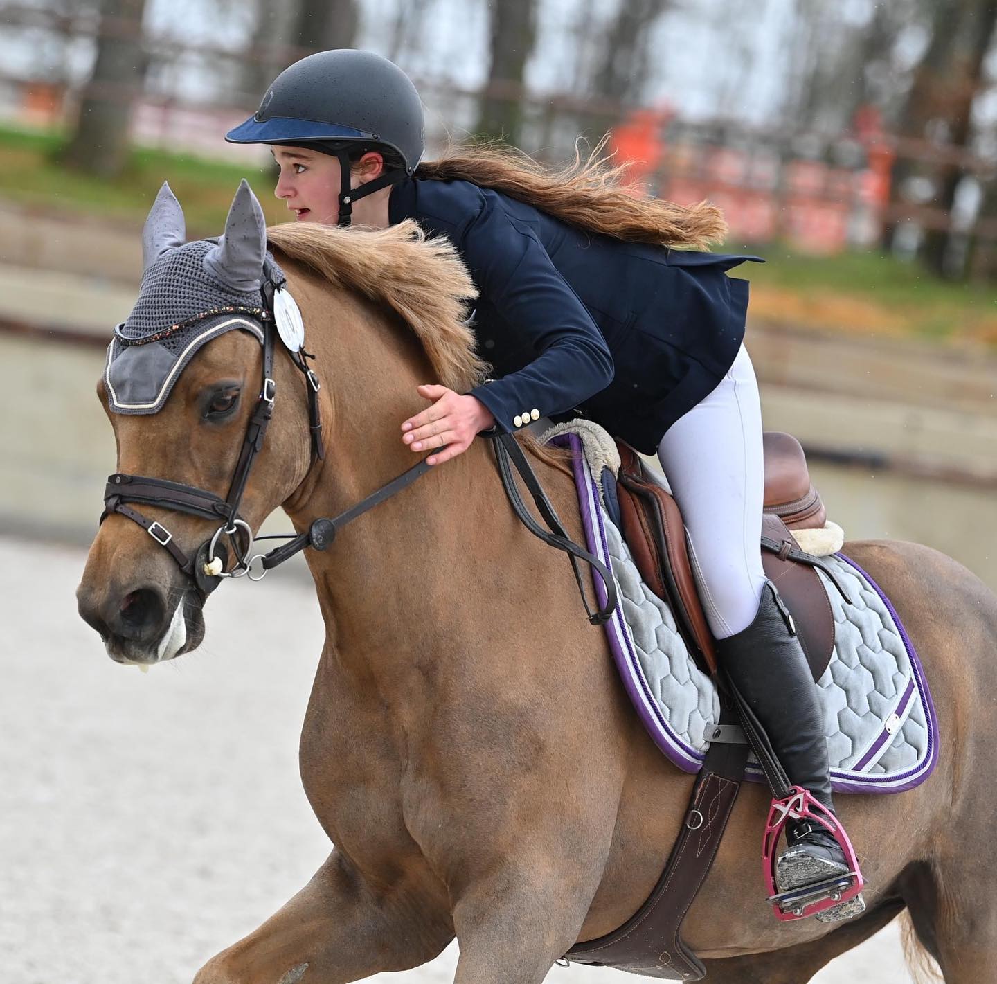 Petite Fille Cheval Équitation Sur Cheval Blanc image libre de