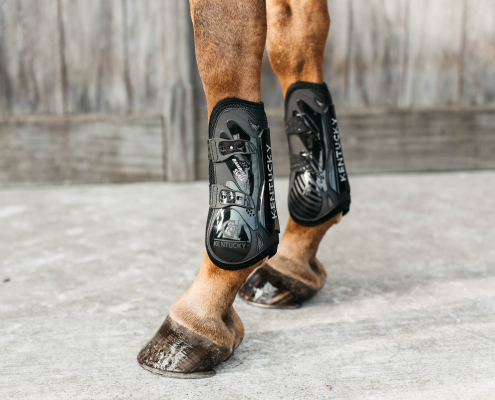 Bamboo Shield Tendon Boots cheval Kentucky - Le Paturon