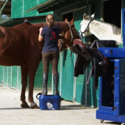 Transporter, ranger et protéger son matériel d’équitation - Le Paturon