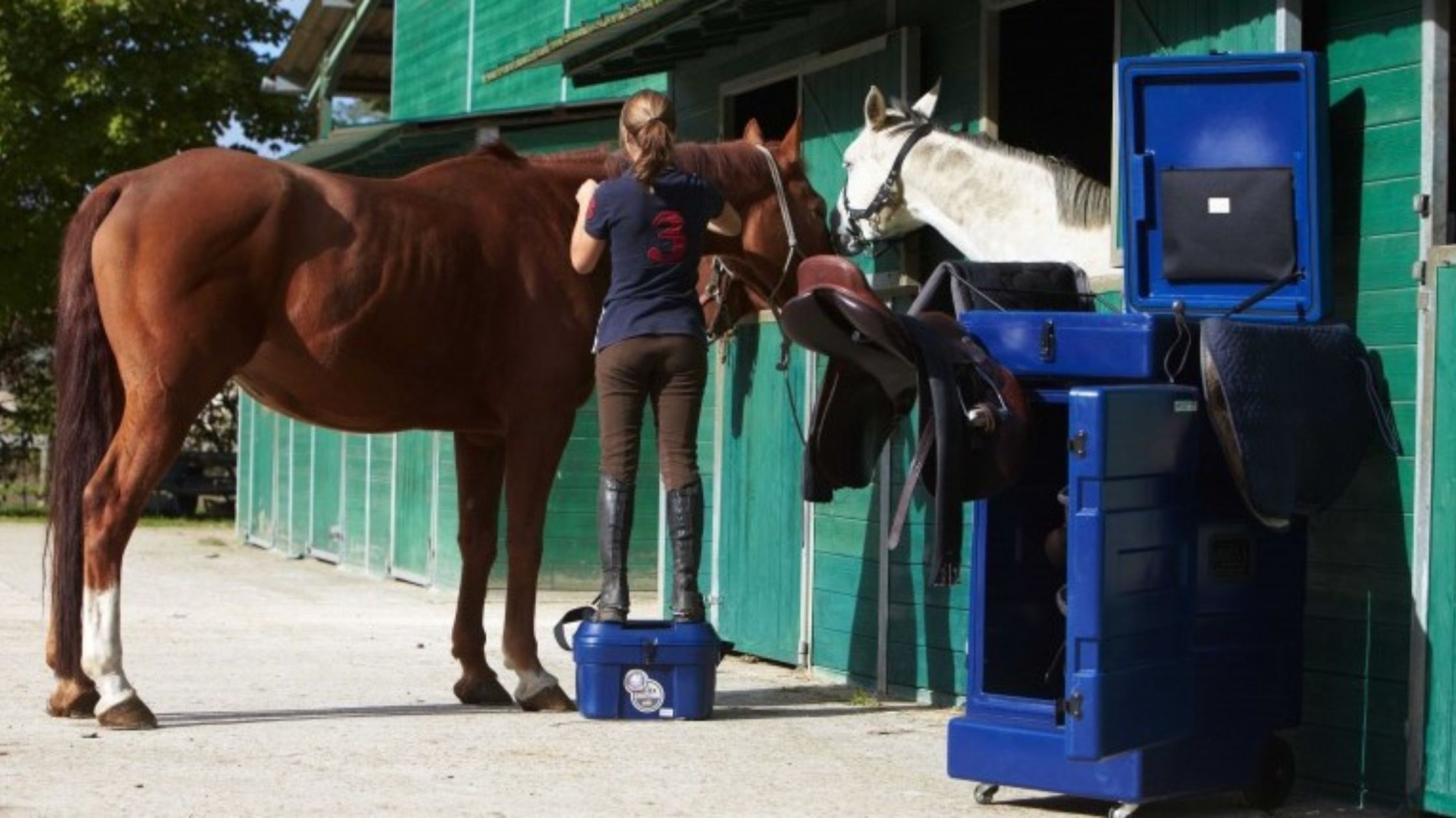 Transporter, ranger et protéger son matériel d’équitation - Le Paturon