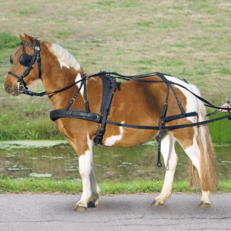 Harnais à bricole Waldhausen Simple Star cheval nylon - Le Paturon