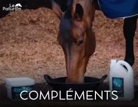 Complément cheval - Le Paturon