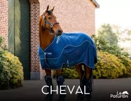 Equipement cheval - Le Paturon