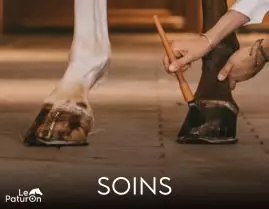 Soin cheval - Le Paturon