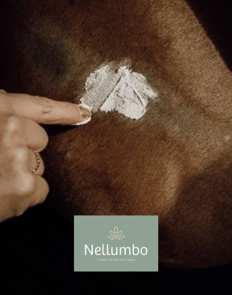 Soin peau cheval Nellumbo - Le Paturon