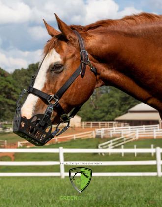 Fourbure cheval Greenguard - Le Paturon Fourbure cheval Greenguard - Le Paturon