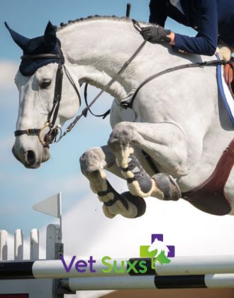 Stress cheval Vet-Suxs - Le Paturon Stress cheval Vet-Suxs - Le Paturon