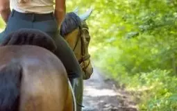 Guides de l'équipement cavalier