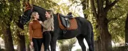 Nouveautés Equipement Cavalier