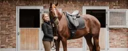 Nos nouveautés équipement cheval