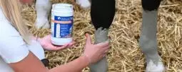 Nouveautés Soin