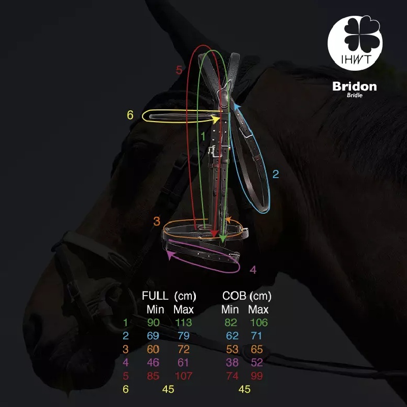 Guide des tailles bridon cheval IHWT - Le Paturon