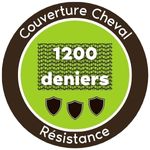 Icône pictogramme 1200 deniers