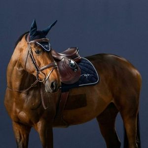 Marques Equipement Equestre & Equitation : Cheval & Cavalier - Le