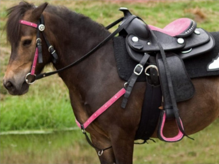Bridon et collier think pink western poney