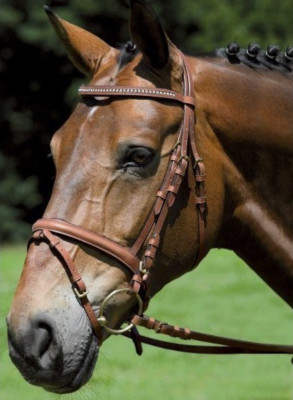Bridon pamplona cuir X-line muserolle pull-back cheval