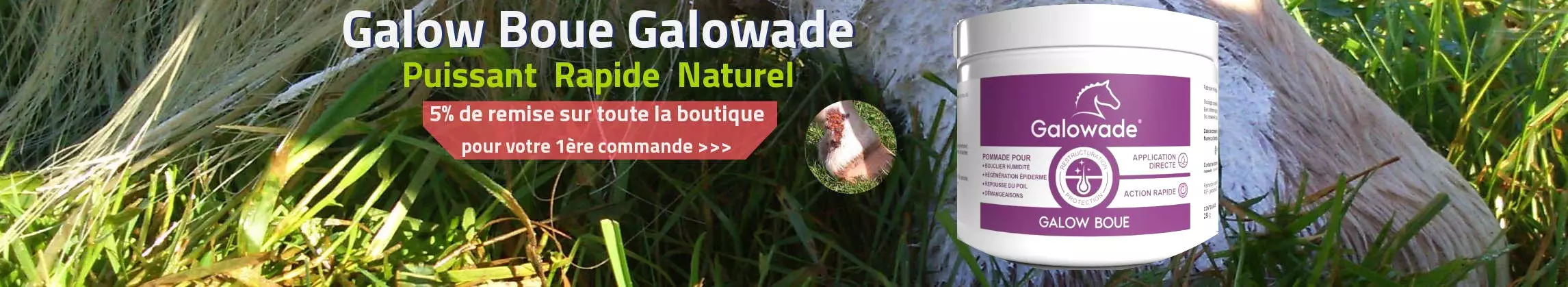 Galow Boue Galowade